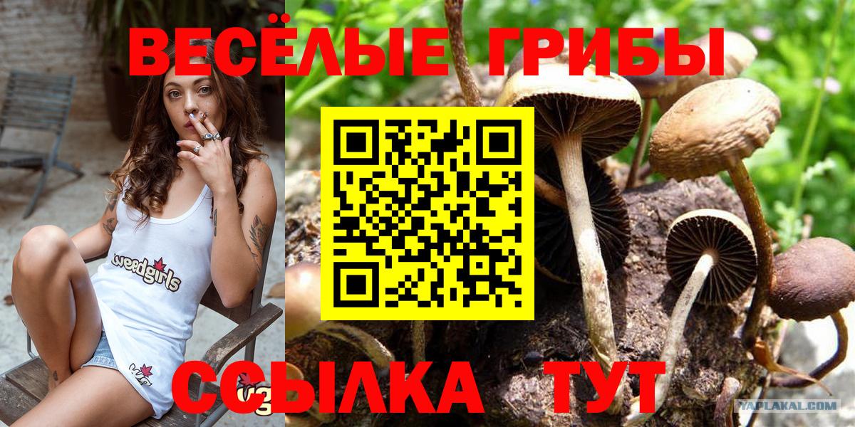 Тихорецк  Галлюциногенные грибы мицелий  Вход с VPN 