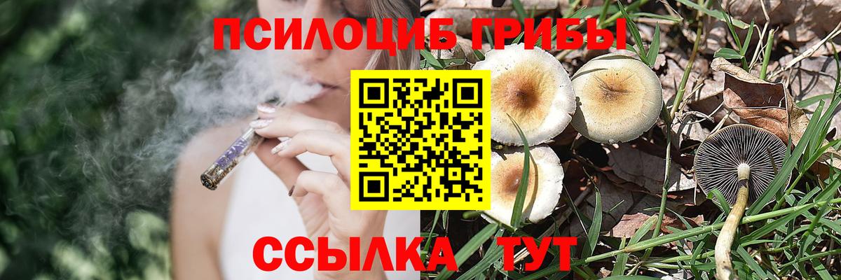 Псилоцибиновые грибы Psilocybine cubensis Тихорецк